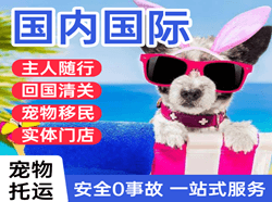 北京大兴空运代理国际宠物托运 【国